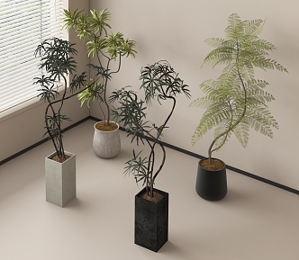 green plant potted plant bonsai plant combination green plant 3d model