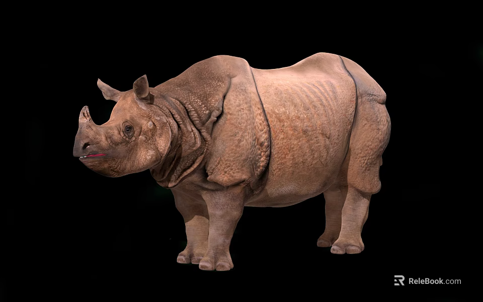Large Indian Rhinoceros With Single Horn And Wrinkled Skin On Black Background 3d model 