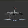 Red Crown Black Neck Crane with Outstretched Wings Standing on Blue Platform with Surrounding Grass