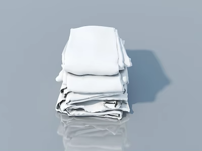 Clothing collocation 3d model