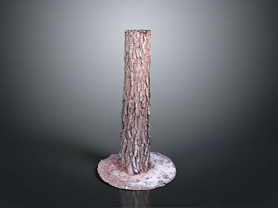 Natural Tree Trunk With Rough Bark Texture Standing On Snow Covered Base 3d model