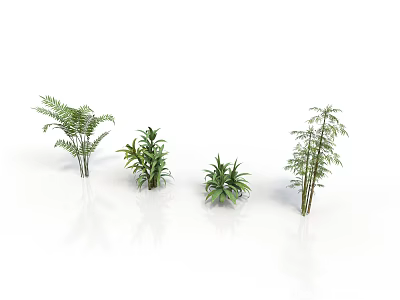 Four Different Green Plants on White Smooth Surface with White Background 3d model