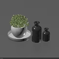 Green Bonsai Potted Plant in White Pot on White Tray with Two Black Bottles