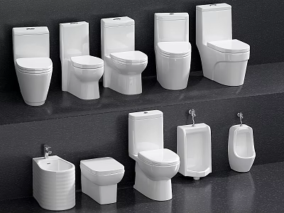 Contemporary Toilet Display With Various Styles And Designs For Bathroom 3d model