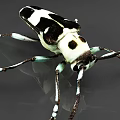 Black And White Reptile With Blue Legs On Gray Background Displaying Unique Body Patterns