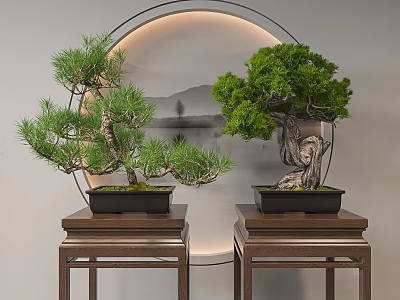 Bonsai Plants Displayed On Wooden Tables With Circular Landscape Background Decoration 3d model