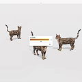 Three Spotted Tabby Cats Standing In Different Poses On White Background