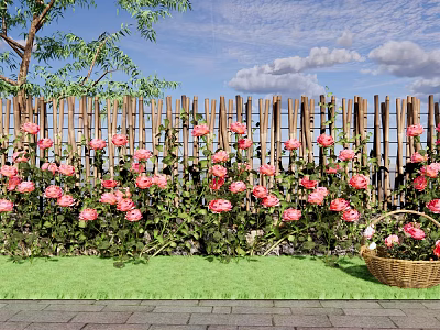 Wooden Garden Fence Adorned With Pink Roses And Green Grass Under Blue Sky 3d model