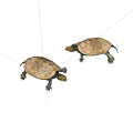 Two Reptile Turtles With Brown Shells Moving Slowly On White Surface 3d model