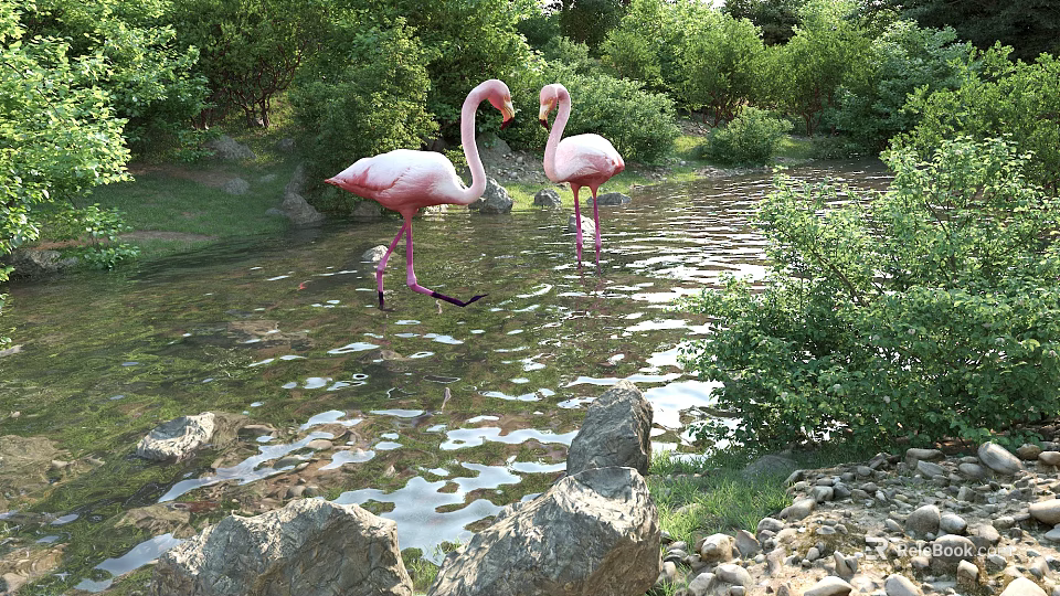Garden Landscape Featuring Two Pink Flamingos in Calm Water with Surrounding Rocks and Lush Greenery 3d model 