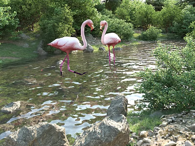 Garden Landscape Featuring Two Pink Flamingos in Calm Water with Surrounding Rocks and Lush Greenery 3d model