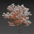 Beautiful Winter Arbor With Snow Covered Orange Red Leaves On Black Background