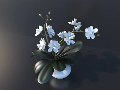 White Orchid Flowers in White Vase with Dark Green Leaves on Dark Surface 3d model