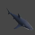 3D Metallic Shark Model With Sleek Surface And Modern Design Features