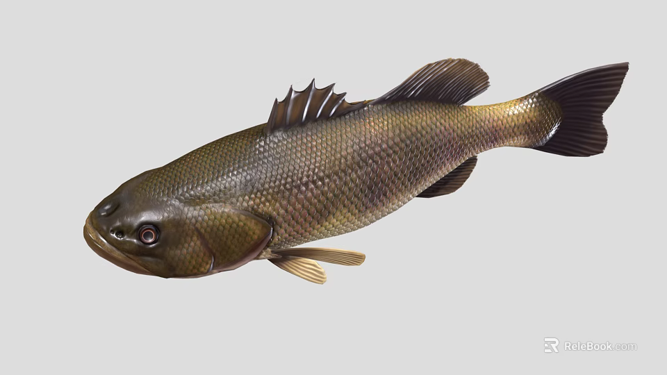 Realistic Brown And Black Fish With Detailed Scales Fins And Tail 3d model 