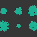 Various Arbor Trees With Different Shapes And Foliage Against Dark Background 3d model