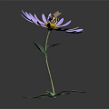 Purple Flower with Slender Petals Yellow Center and Bee on Green Stem