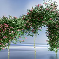 Beautiful Bush Arch Adorned With Pink Flowers And Green Leaves Against Blue Sky