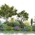Trees as Main Plants in Garden with Mixed Shrubs Flowers and Greenery