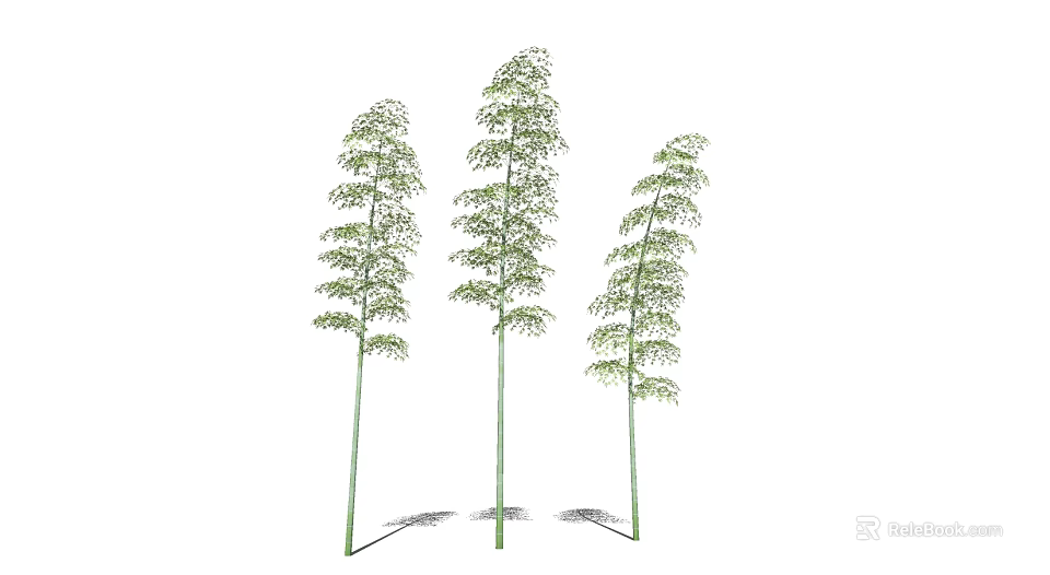 Natural Tall Bamboo Plants With Green Slender Stalks And Lush Leaves 3d model 