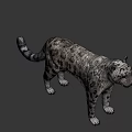 Wildlife Snow Leopard Standing Gracefully With Spotted Coat In Natural Mountain Habitat