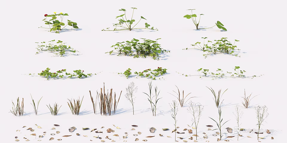 Various Garden Flowering Plants With Different Leaf Shapes And Growth Patterns 3d model 