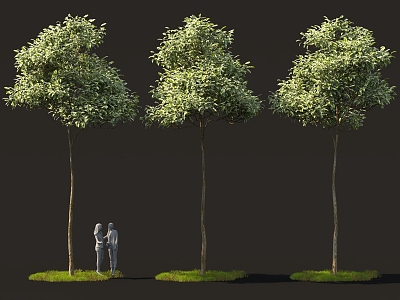 High-pole landscape tree, tree pool, flower bed, garden tree, cartoon shaped green plant model