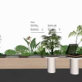 Modern Milk Tea Shop With Green Plants Menu Signs Small Tables And Light-Colored Interior