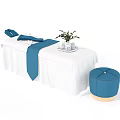 White Massage Chair With Blue Straps Cushions And Decorative Plant Tray