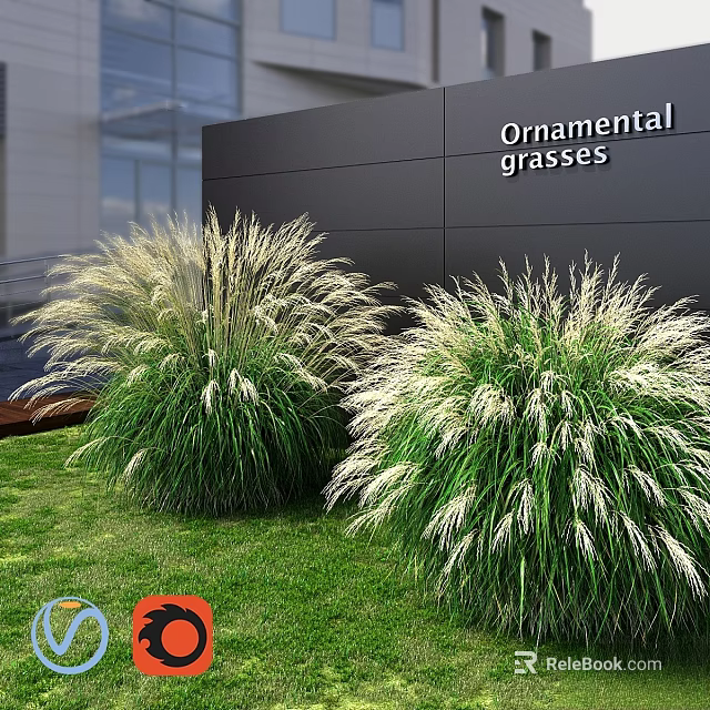 Ornamental Grasses Decorative Plant Arrangement for Outdoor Garden with Green Lawn and Black Wall 3d model 