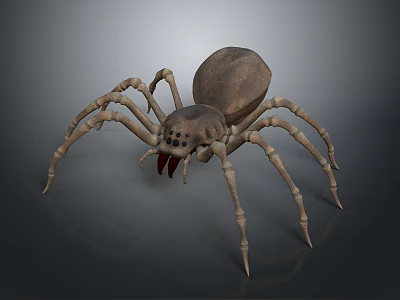 Realistic Brown Reptile With Long Legs And Detailed Body Structure On Dark Background 3d model