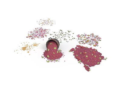 Colorful Plant Seeds Spilled From Black Bucket Scattered On White Background 3d model