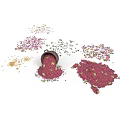 Colorful Plant Seeds Spilled From Black Bucket Scattered On White Background