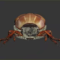 Red Orange Shiny Beetle With Vibrant Shell And Long Legs On Dark Background 3d model
