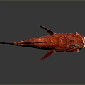 Red Spotted Aquatic Animal With Open Mouth And Unique Fins On Reflective Surface