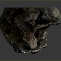 Natural Wood Stone Formation Featuring Rough Texture Irregular Shape And Pink Gray Hues