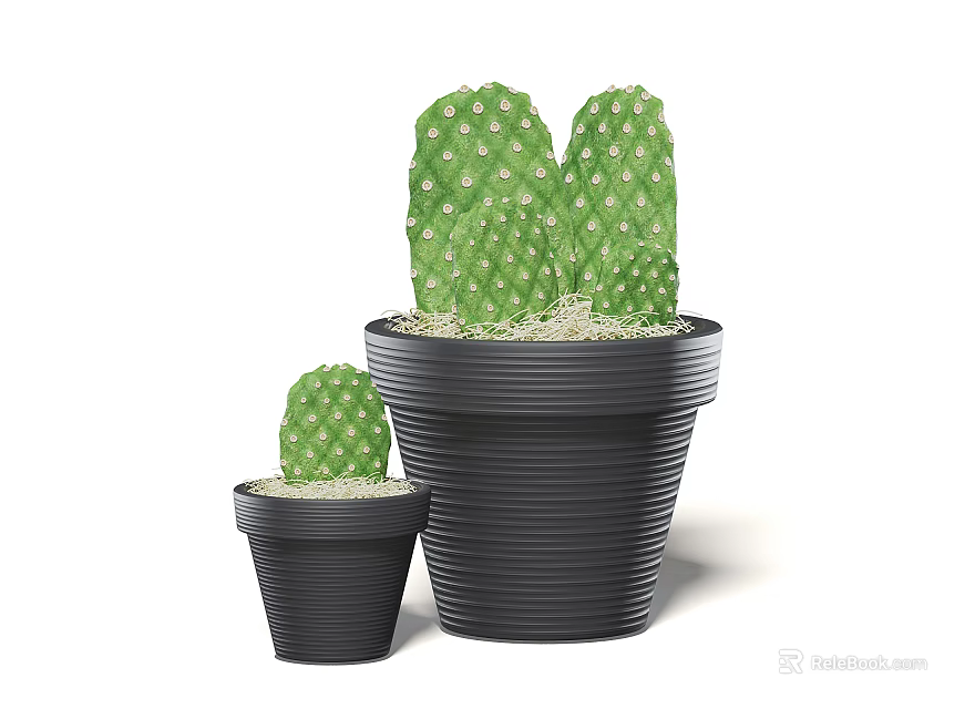 Two Potted Cacti With Green Pads And White Spots In Black Planters For Home Decor 3d model 