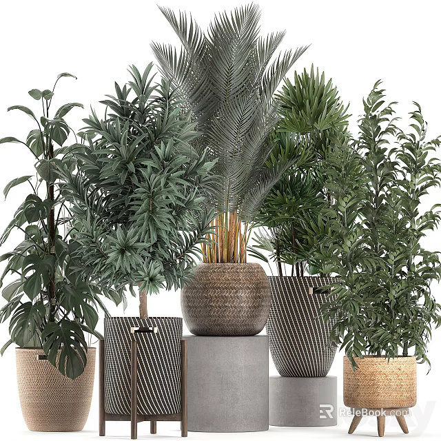 Decorative Indoor Bonsai Potted Plants With Various Green Foliage And Stylish Planters 3d model 
