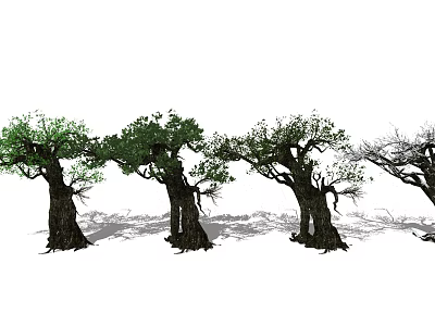 Arbor Trees With Varying Foliage And Thick Trunks In White Background 3d model