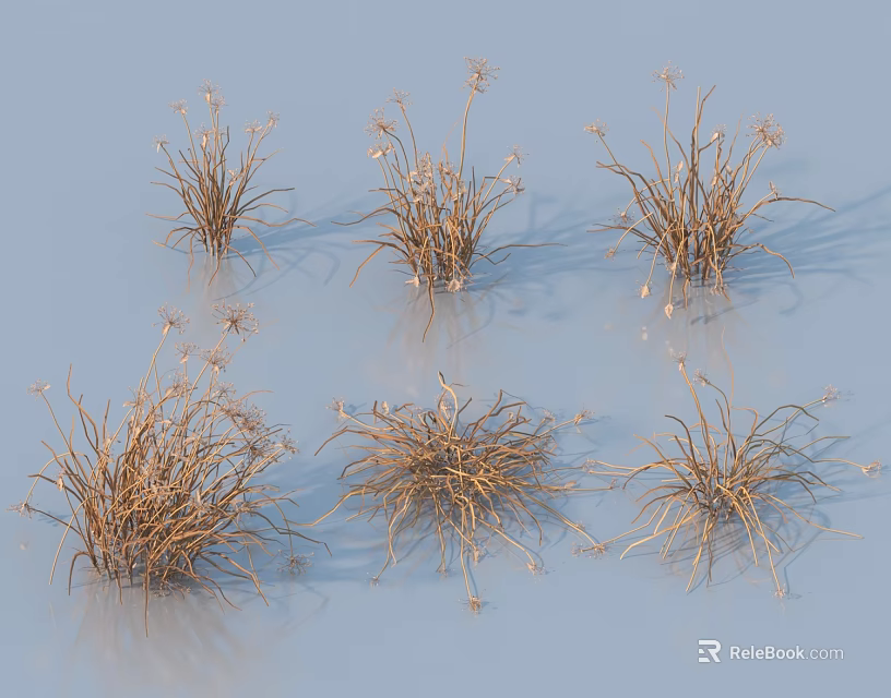 Dried Grass Clusters With Brown Stems And Sparse Blooms On Light Blue Background 3d model
