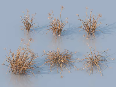 Dried Grass Clusters With Brown Stems And Sparse Blooms On Light Blue Background 3d model