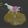 Realistic White Shrimp 3D Model Standing On Natural Rock Surface 3d model