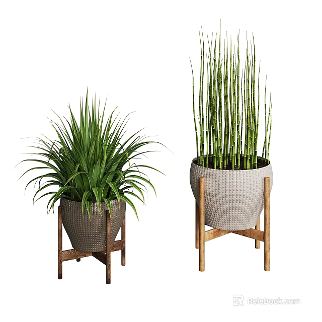 Potted Plants With Lush Green Foliage And Tall Stems In Woven Pots On Wooden Stands 3d model 