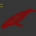 Detailed 3D Whale Model with Red and White Spots on Its Body Against Dark Background