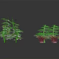 Various Types of Green and Purple Crop Seedlings Neatly Arranged on Black Background
