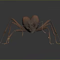 Detailed 3D Model Of Reddish Brown Ant With Legs On Dark Background