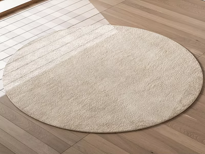 Modern Beige Plush Round Rug With Soft Texture On Wooden Floor 3d model