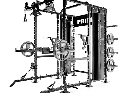 Prime Multi functional Fitness Training Rack With Barbell Weight Plates And Pull up Bar 3d model