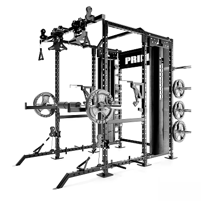 Prime Multi functional Fitness Training Rack With Barbell Weight Plates And Pull up Bar 3d model