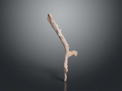 Natural Decorative Wooden Branch Sculpture With Curved Shape Texture On Gray Background 3d model